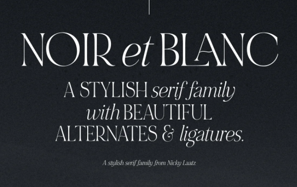 [Creativemarket] Noir et blanc Font (2021)_0.png